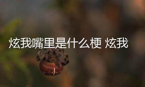么梗嘴里炫我 炫处是我嘴言的方哪里里意是什思出